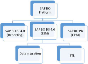 SAP Business objects categories